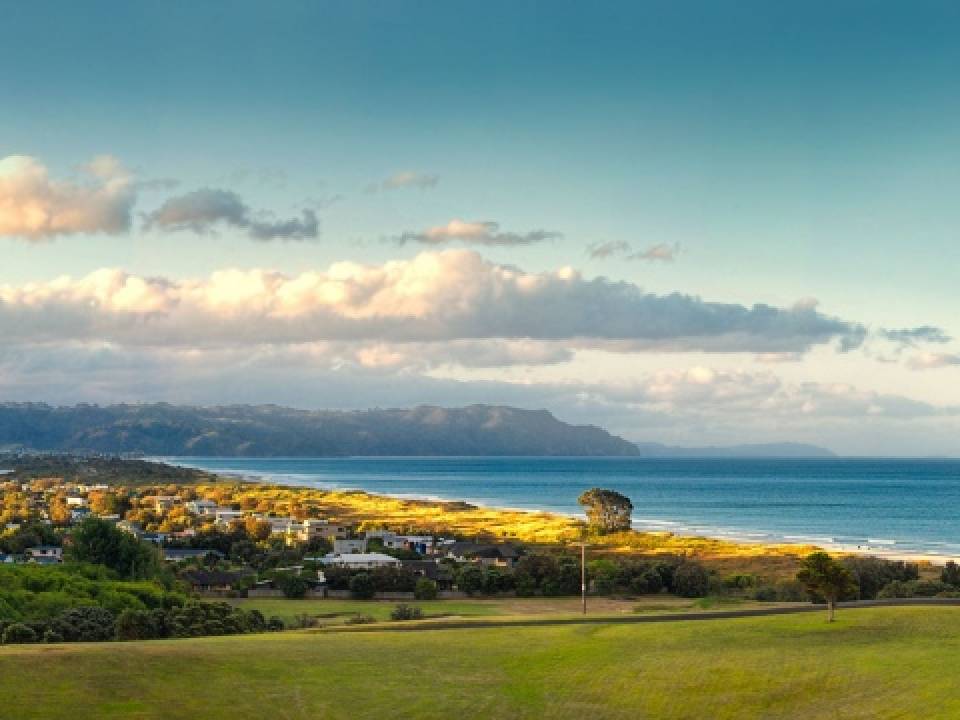 Waihi Beach Team